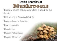 7 health benefits of mushroom